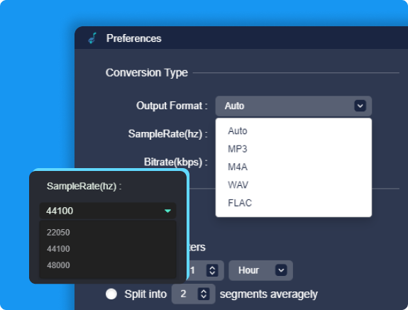 Multiple Output Formats and Parameter Settings