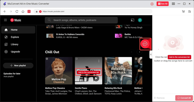 Select YouTube Music to Convert