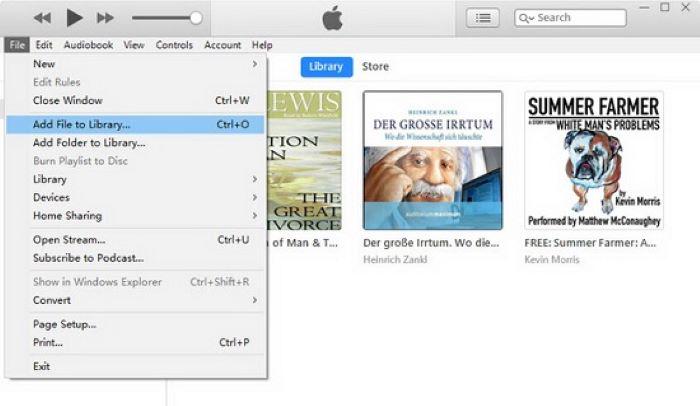 Add File to iTunes Library