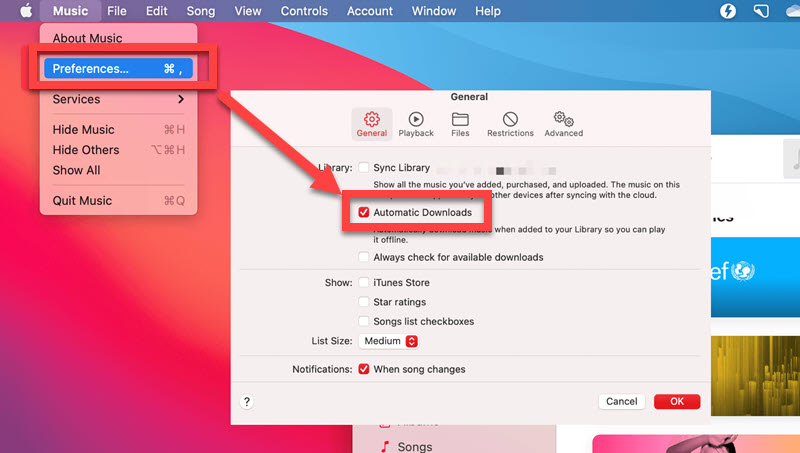 Enable Apple Music Automatic Download Library