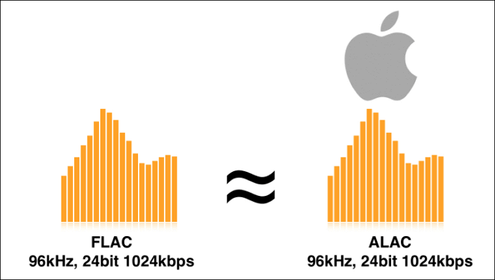 Choose from ALAC and FLAC