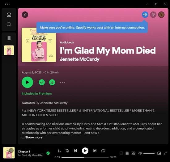 Download Spotify Audiobooks
