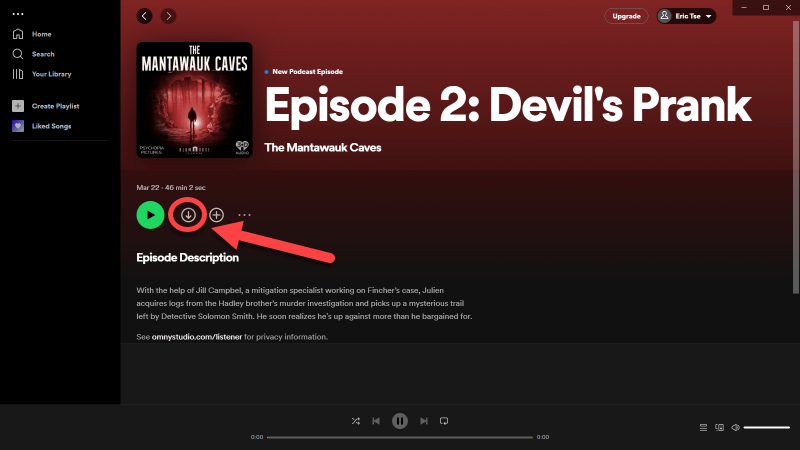 Scarica Spotify Podcast tramite l'app desktop