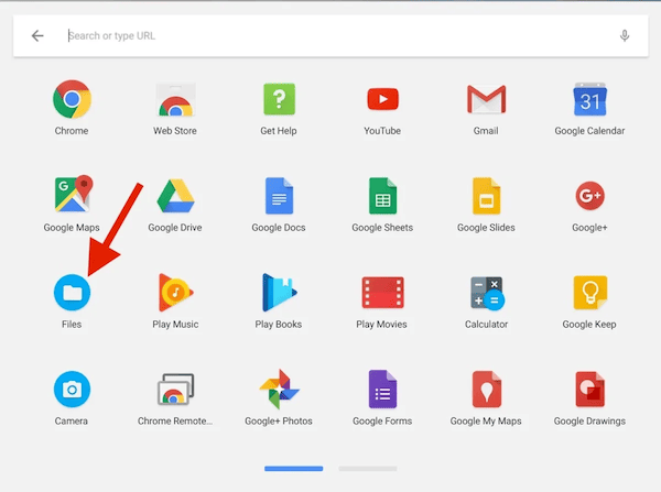 Files APP on Chromebook