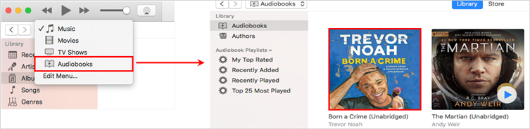 Find Audible Books in iTunes