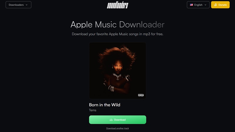 How to Download Music from Apple Music to Computer online