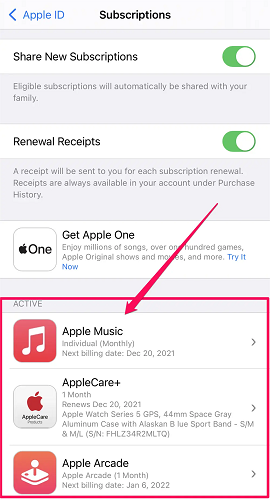 iPhone Check Apple Music Subscription