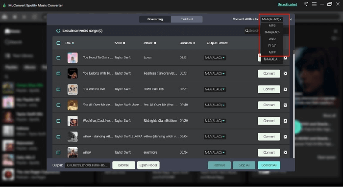 Selecione o formato para baixar listas de reprodução do Spotify