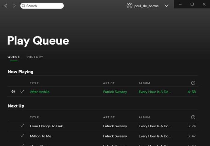 Spotify Clean Playback Queue