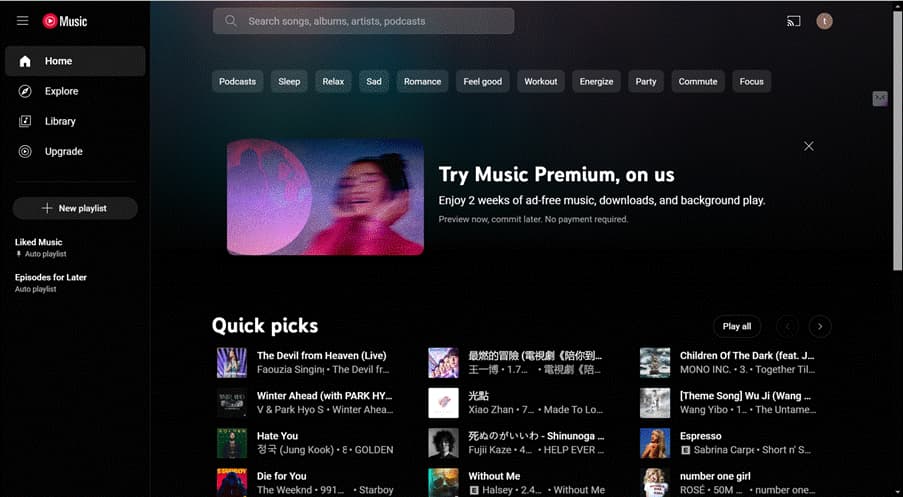 YouTube Music Interface